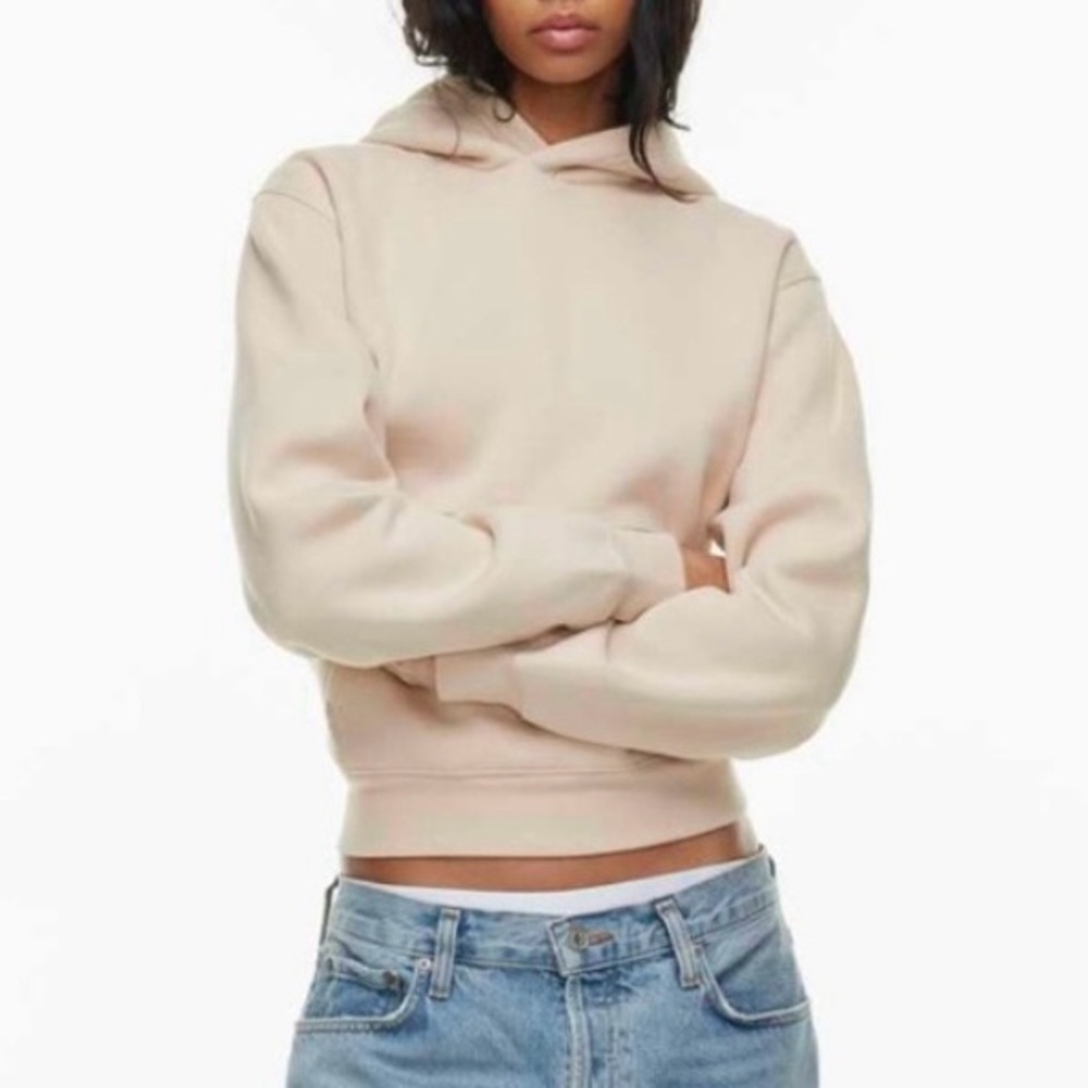 Aritzia TNA Cozy Fleece Perfect Fit Hoodie